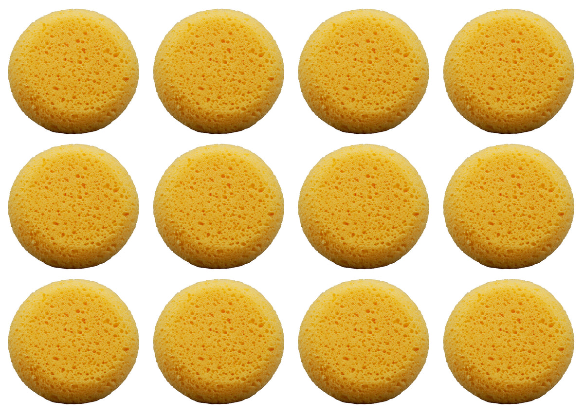 Pack of 12 Tack Sponges - for pottery