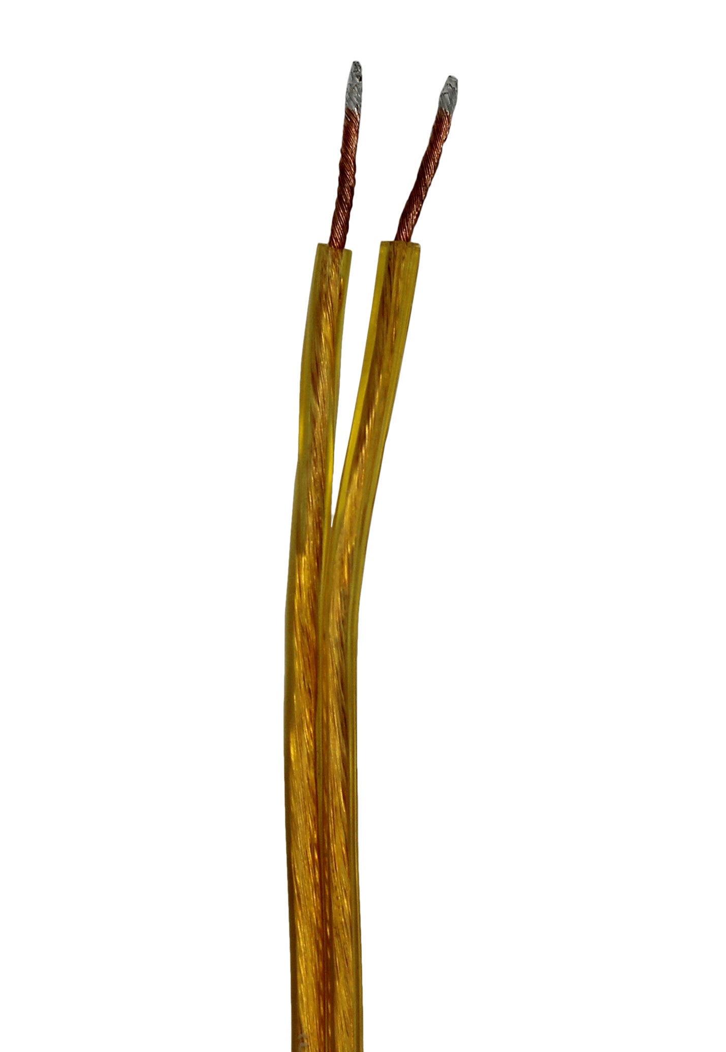 8 Foot Gold Lamp Cord Set with Rotary On/off Switch & End Plug -Wholesale - close-up