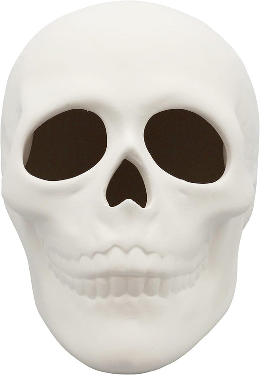 Ready to Paint Ceramic Bisque, 5 Inch Long x 4 Inch Tall Skull, Includes How to Paint Your Own Pottery Booklet