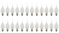 5 Watt Silicone Dipped Country Candle Lamp Light Bulbs - Replacement Bulbs for Candles and Chandeliers -  Pack of 24 Bulbs