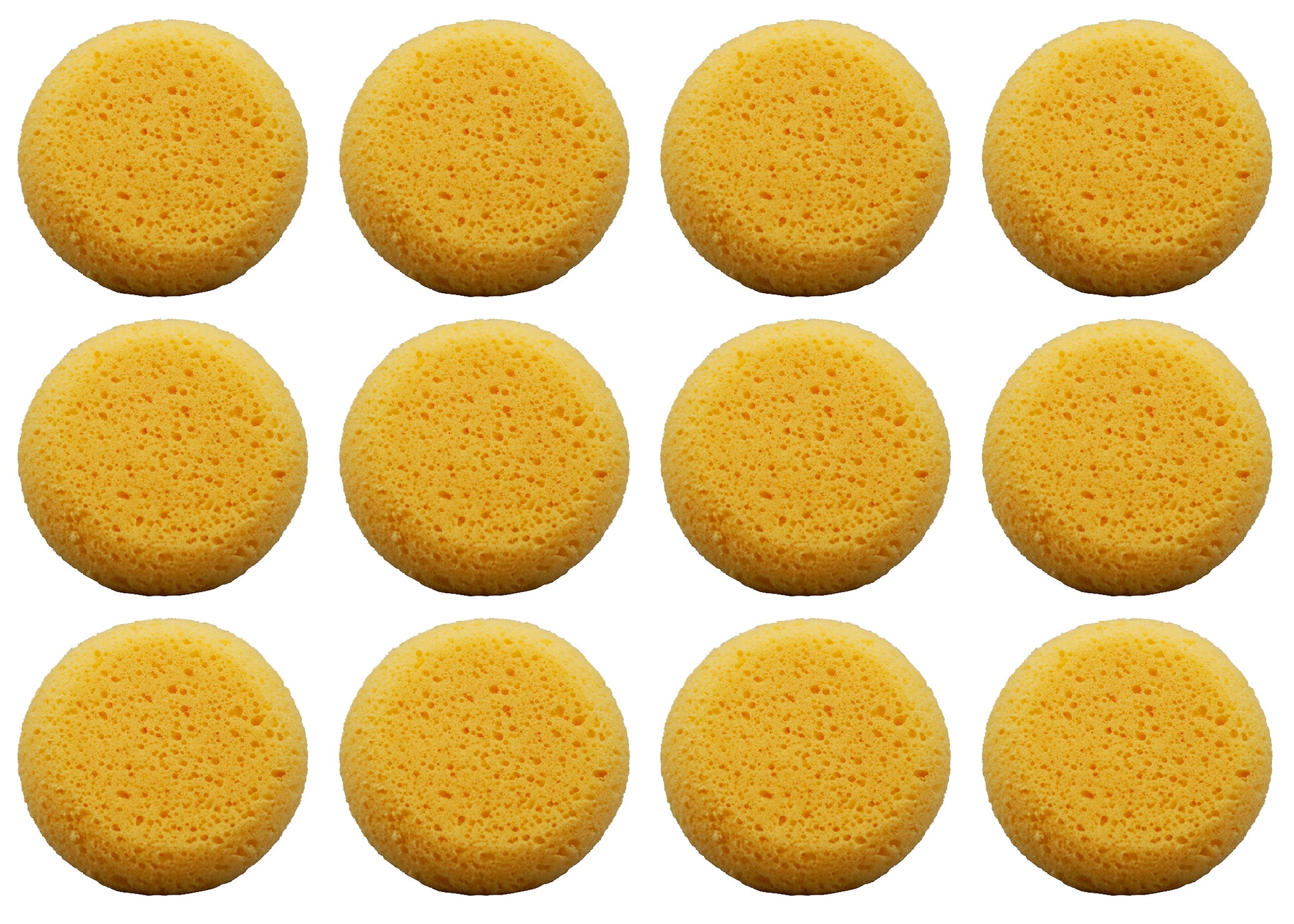 Pack of 12 Tack Sponges - for pottery