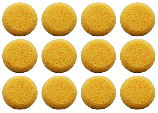Pack of 12 Tack Sponges - for pottery