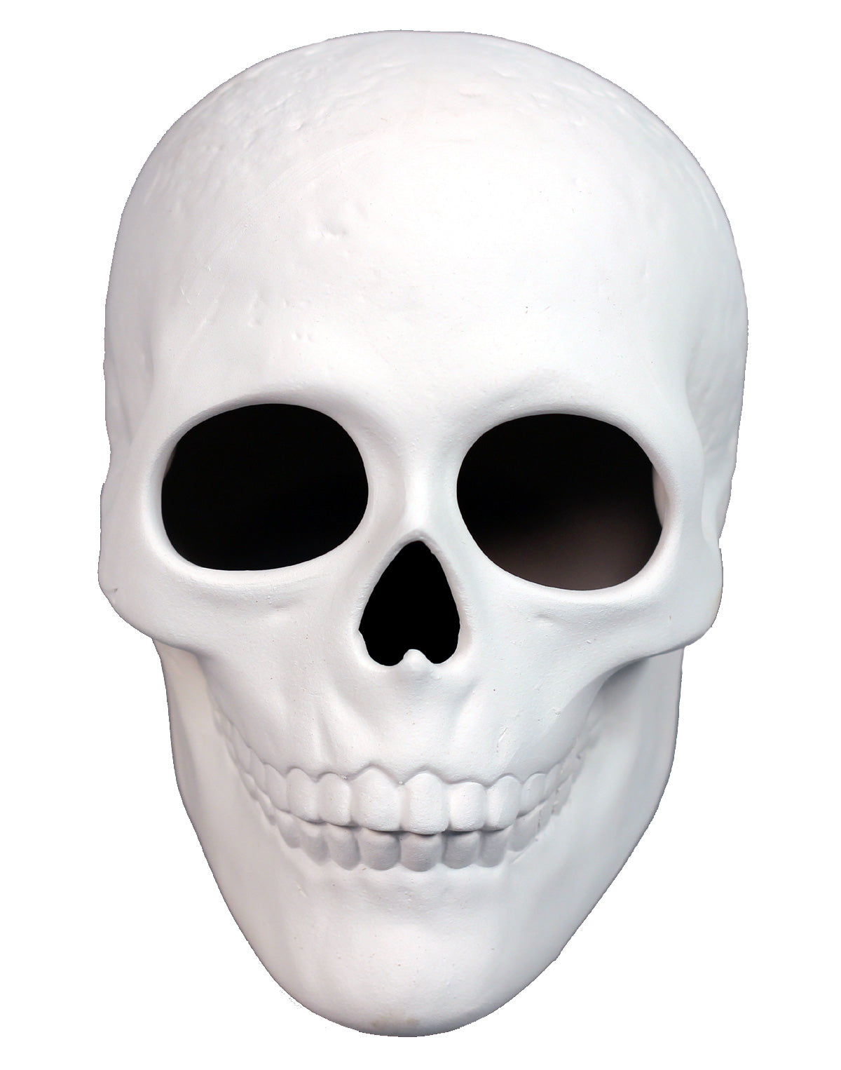 Ready to Paint Ceramic Bisque, 5 Inch Long x 4 Inch Tall Skull, Includes How to - for pottery