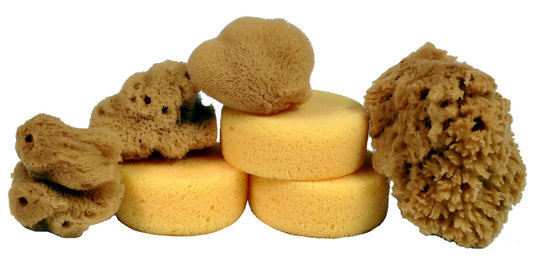 Creative Hobbies® Synthetic and Natural Silk Sponges for Painting, Crafts, - for pottery